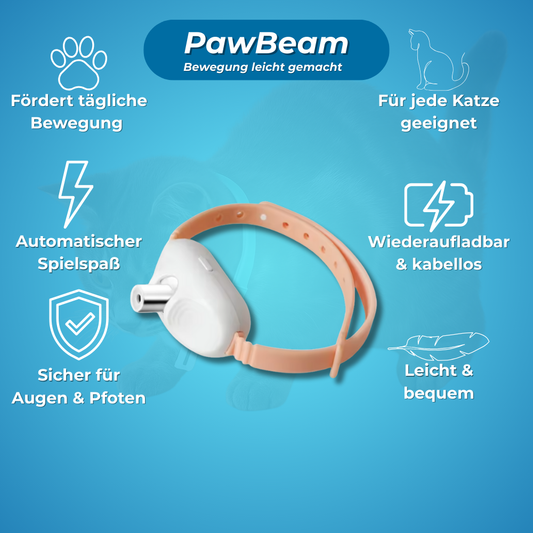 PawBeam