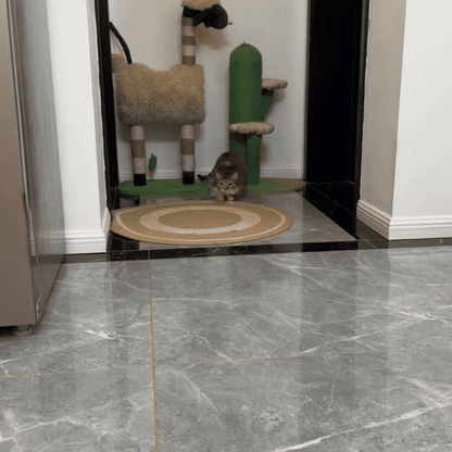 PawBeam